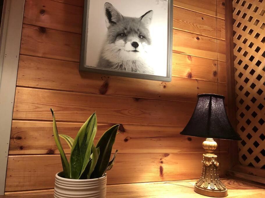 Chalet Riviere - Bord De Riviere - Romantique Сен-Алексис-де-Мон Екстериор снимка